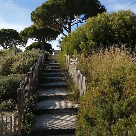 Lejlighed Les Ondines Sea View With Air Conditioning Bormes-les-Mimosas